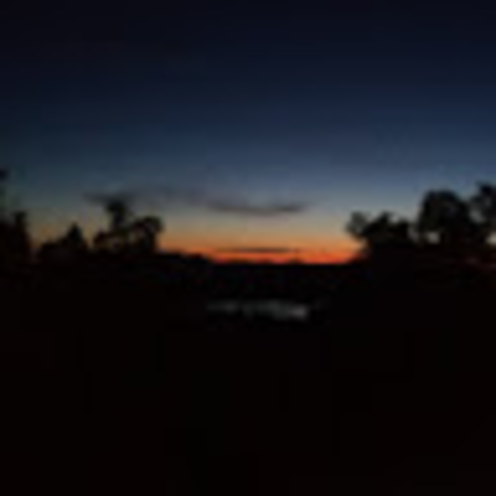 Meet your Posher, Kellibelli